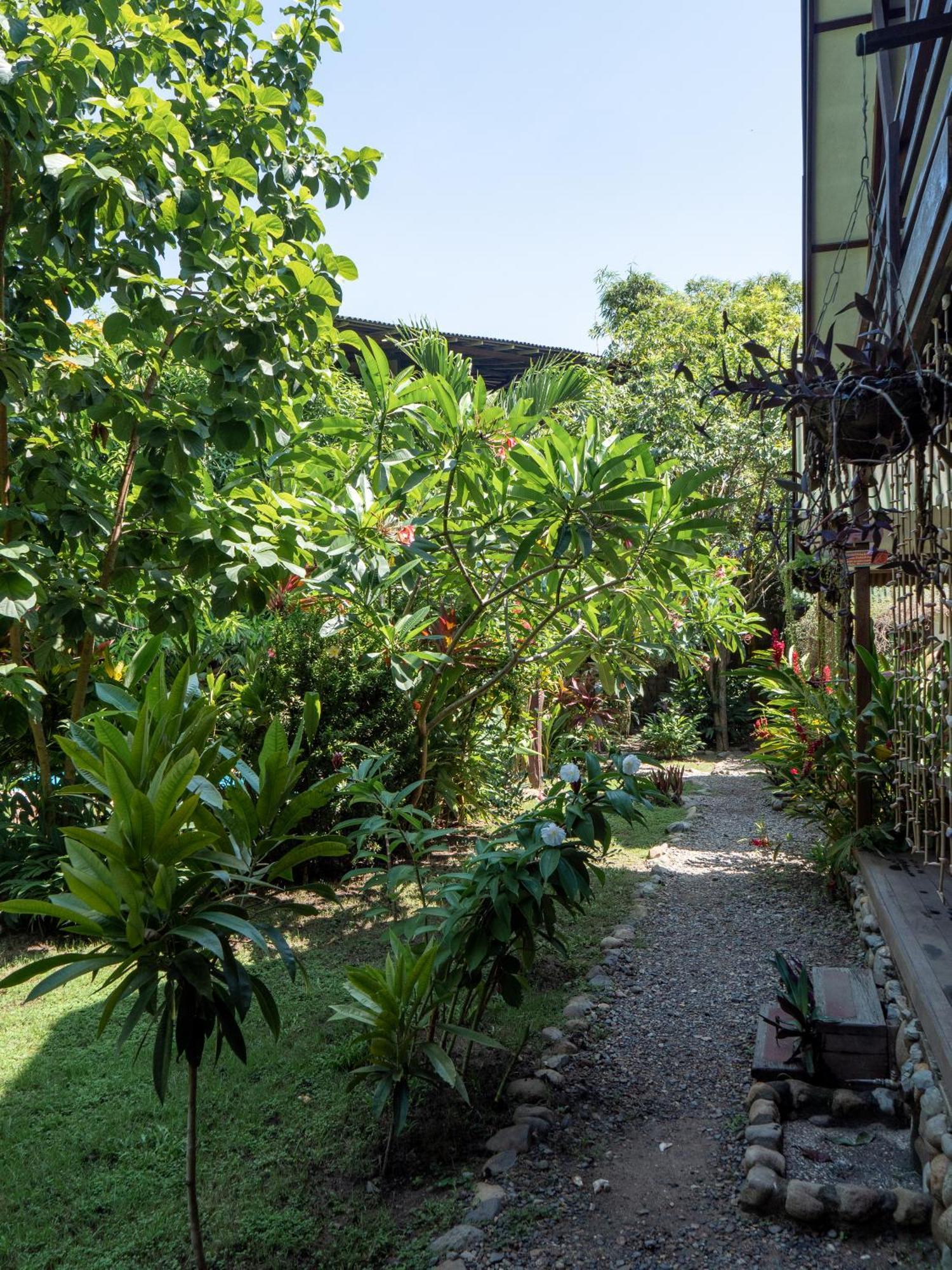 Nuba Boutique Hostel פאלומינו מראה חיצוני תמונה