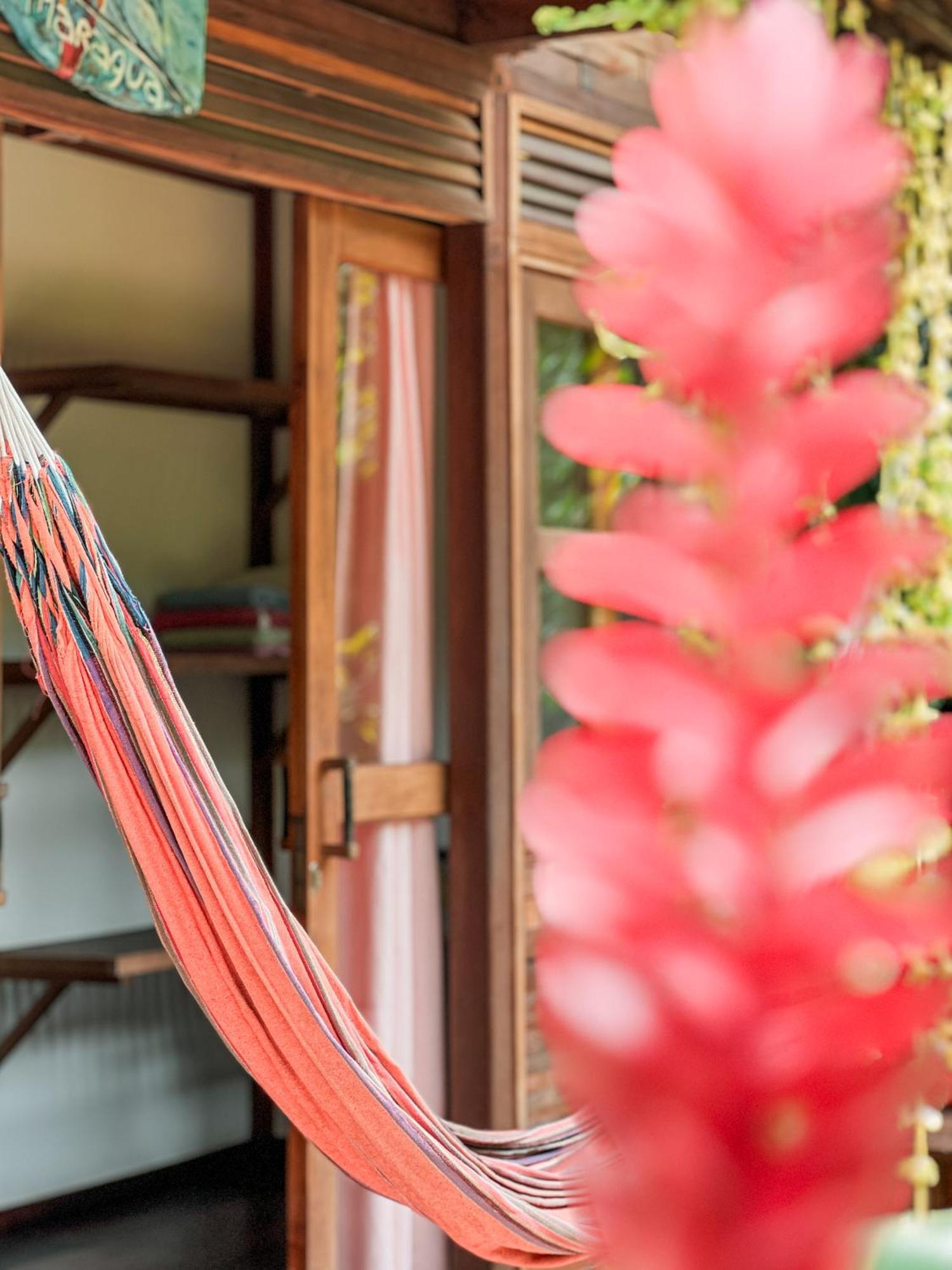 Nuba Boutique Hostel פאלומינו מראה חיצוני תמונה